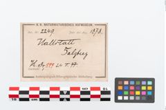 Etikett zu Eisenhiebmesser (NHMW-PRAE-002249)